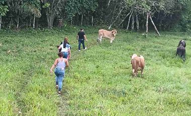 50 hectáreas, Finca a la venta