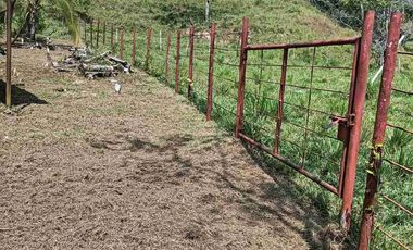 50 hectáreas, Finca a la venta