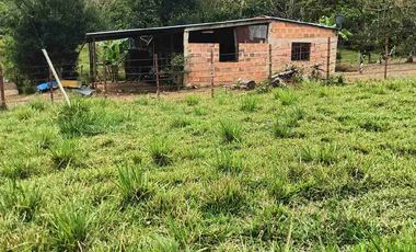 50 hectáreas, Finca a la venta
