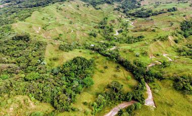 50 hectáreas, Finca a la venta