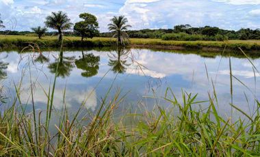 Se vende Finca de 62 Hectáreas