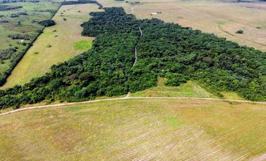 Se vende Finca de 62 Hectáreas