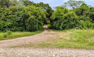 Se vende Finca de 62 Hectáreas