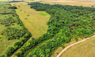 Se vende Finca de 62 Hectáreas