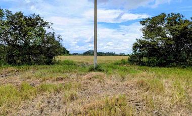 Se vende Finca de 62 Hectáreas