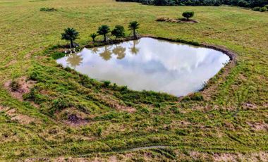 Se vende Finca de 62 Hectáreas