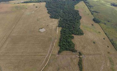 Se vende Finca de 62 Hectáreas