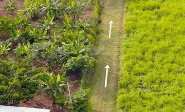 ¡OPORTUNIDAD DE INVERSIÓN EN TARAPOTO-LAMAS! VENTA DE TERRENO DE 399 m² RODEADO DE NATURALEZA