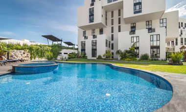 Departamento en Venta en Live Petrel, Milenio III – Lujo, exclusividad y alta plusvalía