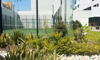 Departamento en Venta en Live Petrel, Milenio III – Lujo, exclusividad y alta plusvalía