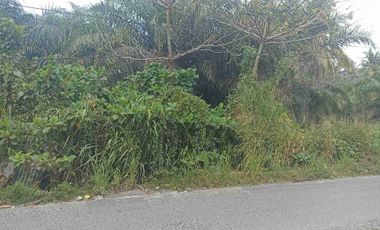 Dijual Tanah di Jl Rokan Kec Lima Puluh Pekanbaru