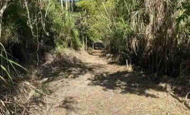 Se vende finca de 4 hectáreas con 5 construcciones totalmente equipadas en Intag apuela Cotacachi Imbabura Ecuador