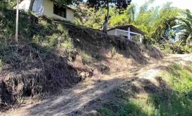Se vende finca de 4 hectáreas con 5 construcciones totalmente equipadas en Intag apuela Cotacachi Imbabura Ecuador