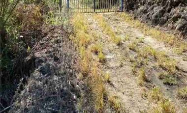 Se vende finca de 4 hectáreas con 5 construcciones totalmente equipadas en Intag apuela Cotacachi Imbabura Ecuador