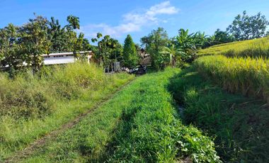 jual tanah zona pink 1000m2/10 are hrga90 jt/ are.lok tangguntiti