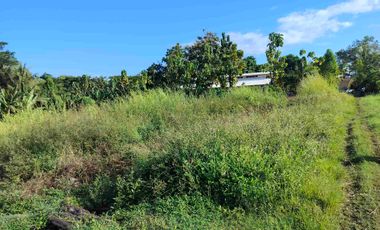 jual tanah zona pink 1000m2/10 are hrga90 jt/ are.lok tangguntiti