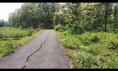 Dijual Murah Tanah SHM Pekarangan mangku jalan / Tepi Jalan Utama jl kedungsari pengasih kulon progo