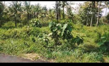 Dijual Murah Tanah SHM Pekarangan mangku jalan / Tepi Jalan Utama jl kedungsari pengasih kulon progo