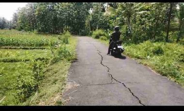 Dijual Murah Tanah SHM Pekarangan mangku jalan / Tepi Jalan Utama jl kedungsari pengasih kulon progo