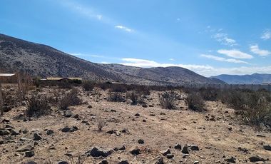 Terreno 5000 M2 sector Puerta del Sol KM 15 Camino a Vicuña