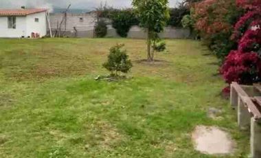 Se vende con Facilidad de pago Casa campestre área de 2.500 metros en Chaltura Imbabura Ecuador