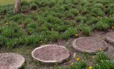 Se vende finca de 4.7 hectáreas estilo complejo en Cotacachi Imbabura Ecuador