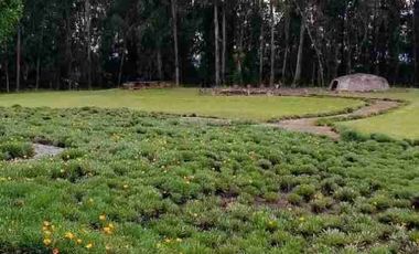 Se vende finca de 4.7 hectáreas estilo complejo en Cotacachi Imbabura Ecuador