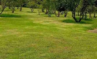 Se vende finca de 4.7 hectáreas estilo complejo en Cotacachi Imbabura Ecuador