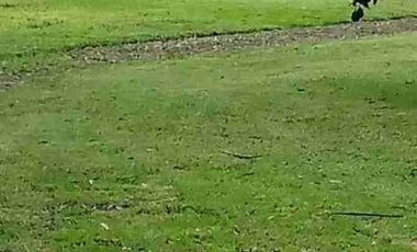 Se vende finca de 4.7 hectáreas estilo complejo en Cotacachi Imbabura Ecuador