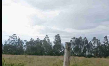 se vende Finca de 21 hectáreas con tres invernaderos de tomate riñón abundante agua de riego en Ibarra la esperanza IMBABURA Ecuador