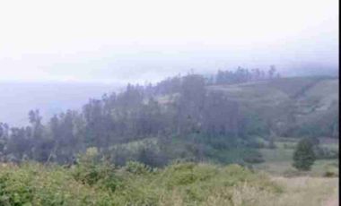 se vende Finca de 21 hectáreas con tres invernaderos de tomate riñón abundante agua de riego en Ibarra la esperanza IMBABURA Ecuador