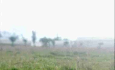 se vende Finca de 21 hectáreas con tres invernaderos de tomate riñón abundante agua de riego en Ibarra la esperanza IMBABURA Ecuador