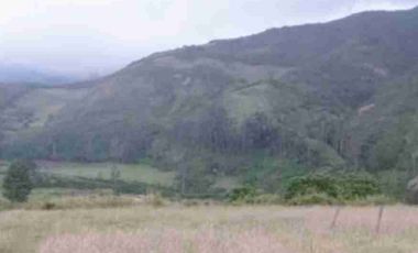 se vende Finca de 21 hectáreas con tres invernaderos de tomate riñón abundante agua de riego en Ibarra la esperanza IMBABURA Ecuador