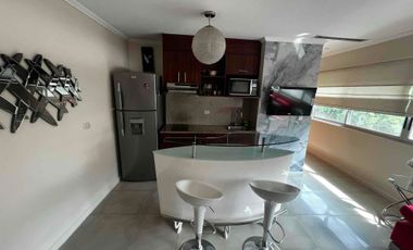 suit amoblada en alquiler
