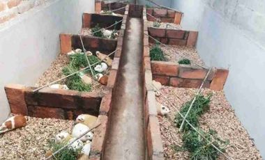 se vende Quinta en inmantag Cotacachi IMBABURA Ecuador