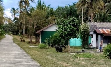 ขายบ้านเดี่ยวพร้อมที่ดิน เนื้อที่ 3 ไร่ ท่าศาลา นครศรีธรรมราช