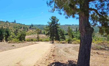 Parcelas 5.000 m² con rol propio a 40 min de Pichilemu”