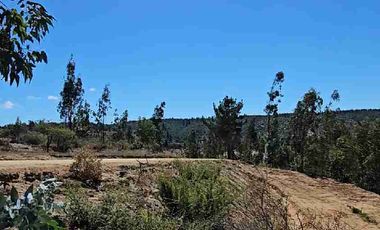 Parcelas 5.000 m² con rol propio a 40 min de Pichilemu”