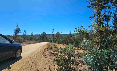 Parcelas 5.000 m² con rol propio a 40 min de Pichilemu”