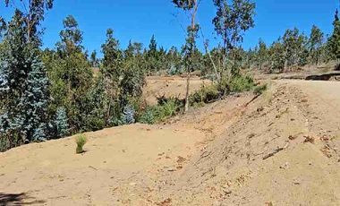 Parcelas 5.000 m² con rol propio a 40 min de Pichilemu”