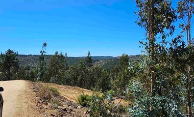 Parcelas 5.000 m² con rol propio a 40 min de Pichilemu”