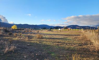 Parcela en venta, 5000 m2 Las Barrancas, Coquimbo