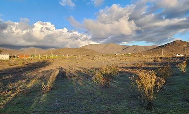 Parcela en venta, 5000 m2 Las Barrancas, Coquimbo