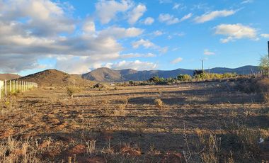 Parcela en venta, 5000 m2 Las Barrancas, Coquimbo