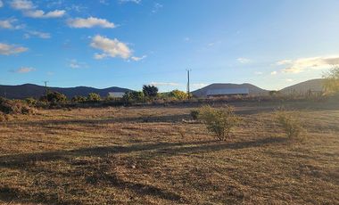 Parcela en venta, 5000 m2 Las Barrancas, Coquimbo