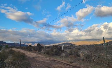 Parcela en venta, 5000 m2 Las Barrancas, Coquimbo