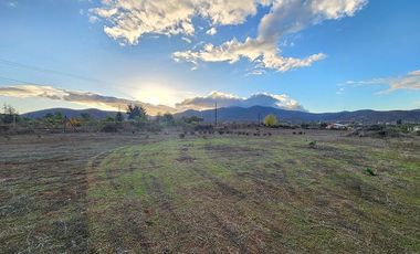 Parcela en venta, 5000 m2 Las Barrancas, Coquimbo