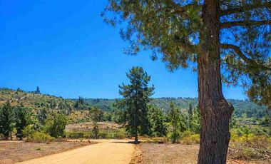 Parcelas en Marchigüe a 40 min de Pichilemu!!!