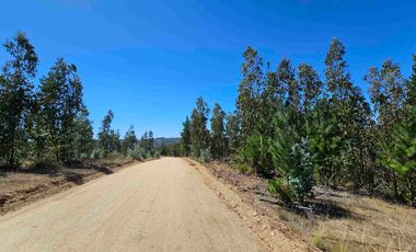 Parcelas en Marchigüe a 40 min de Pichilemu!!!