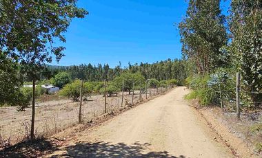 Parcelas en Marchigüe a 40 min de Pichilemu!!!